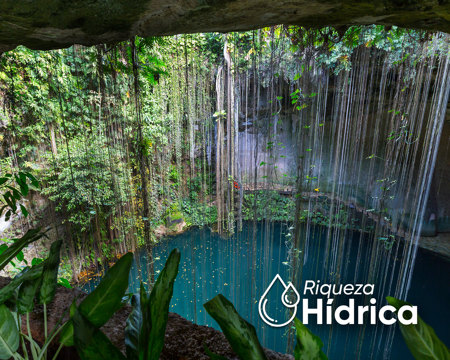 La riqueza del agua en Yucatán