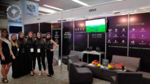 ¿Cómo elegir un desarrollador inmobiliario en México? 