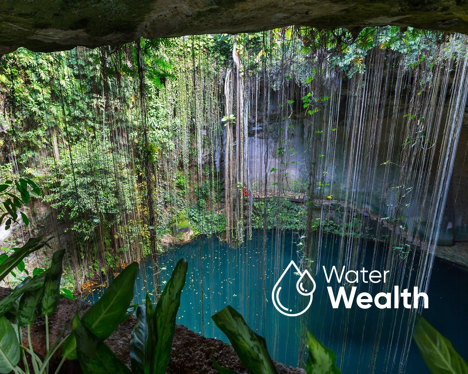 The abundance of water in Yucatan