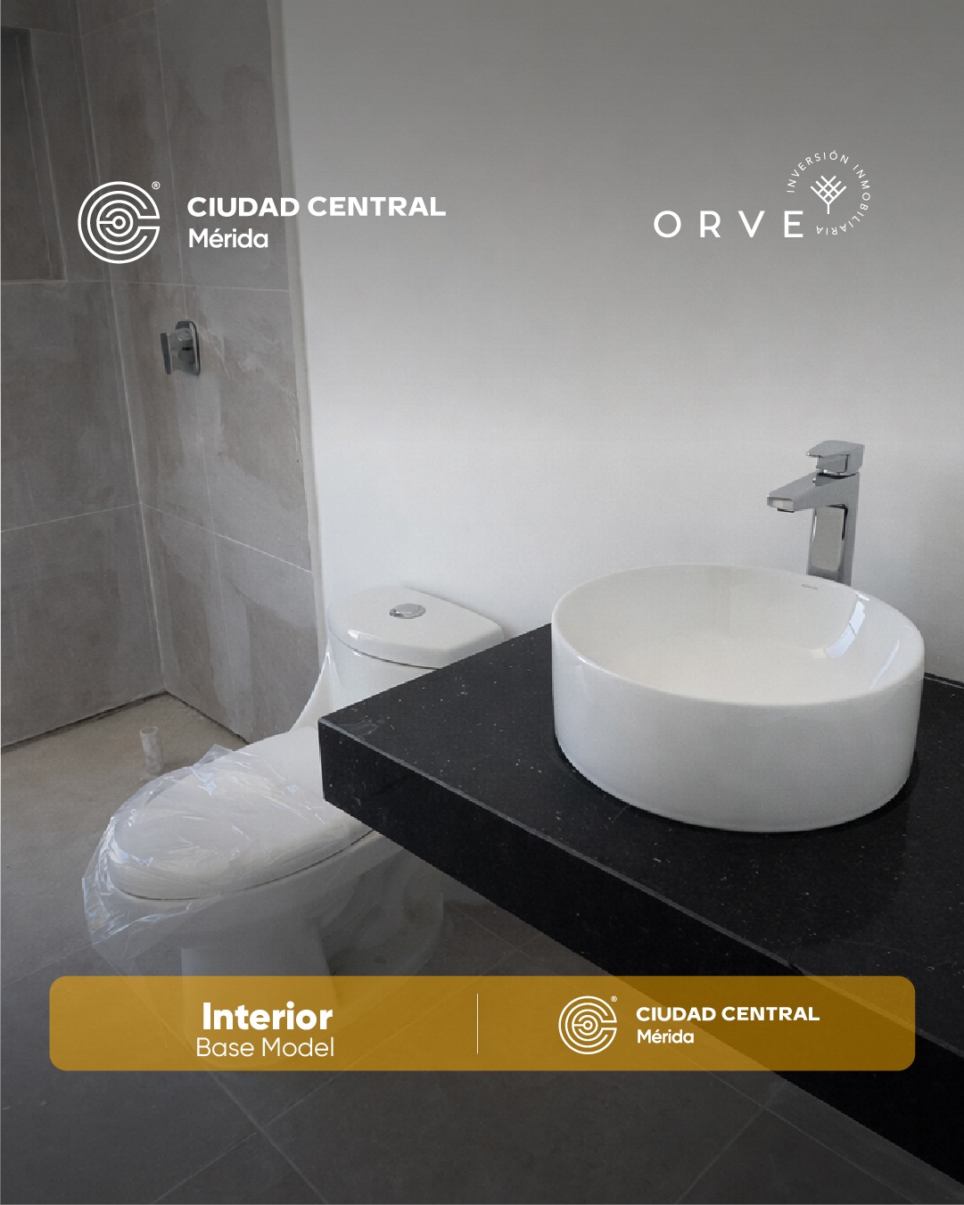 Work Progress_February 2026_006