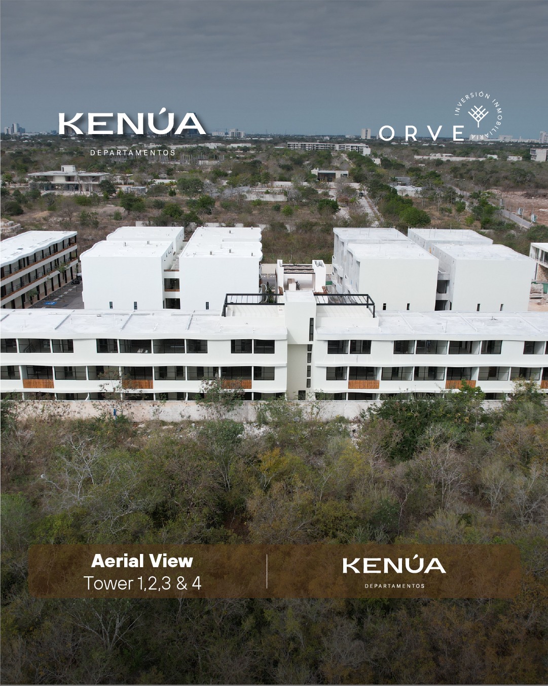 Work Progress_Mesa de trabajo_009