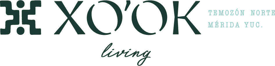 LOGOTIPO-XOOK-COLOR-JADE-OBSCURO