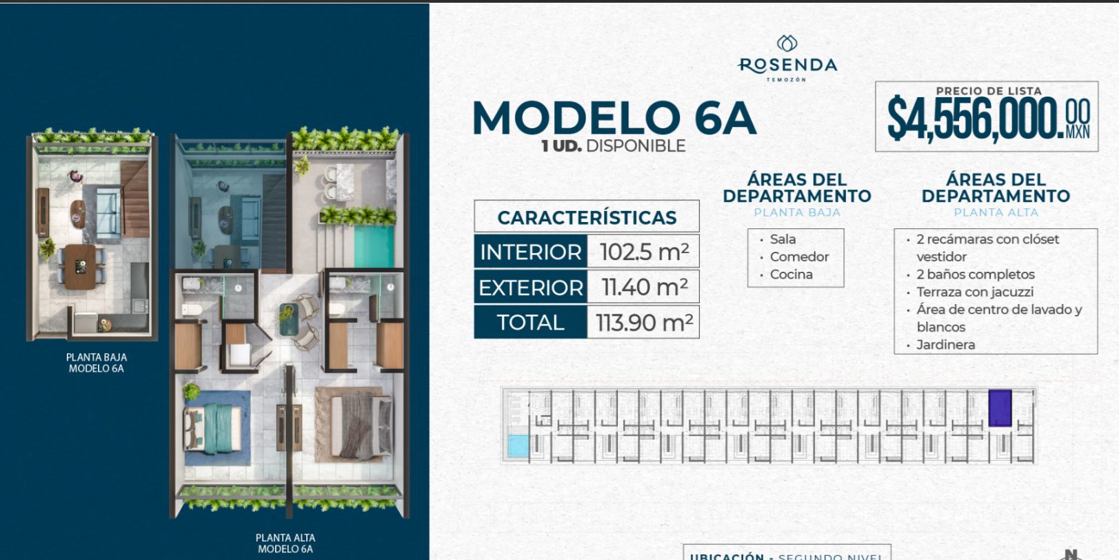rosenda-modelo-6a