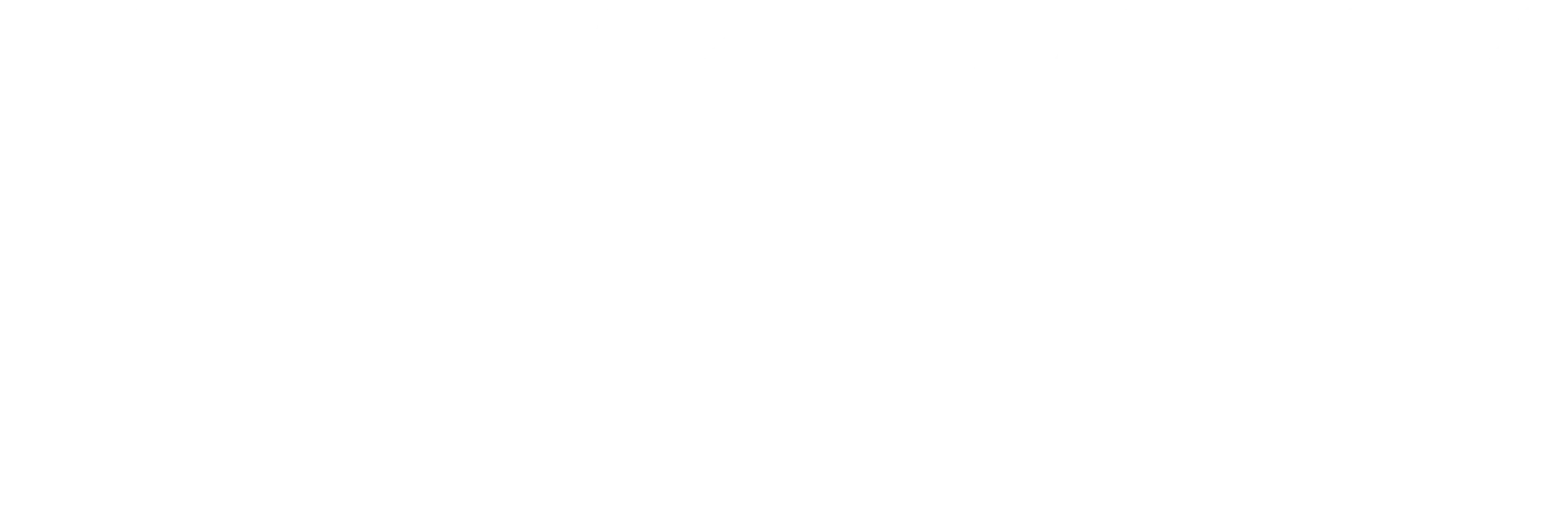 LOGO XOOK BLANCO 5
